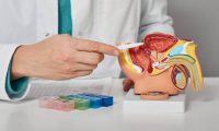 istockphoto-1369069722-612x612-1 (1)